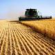 Есхн – единый сельскохозяйственный налог: ключевые моменты